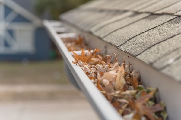 Leaf Barrier Installation in Kinston